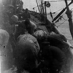 Science Art: <i>Examining Plankton Haul, Plankton Hydrographic Cruise, Research Vessel Atlantis</i> by O.E. Sette, 1935 Science Art: <i>Examining Plankton Haul, Plankton Hydrographic Cruise, Research Vessel Atlantis</i> by O.E. Sette, 1935