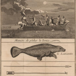Science Art: <i>Manière de pêcher la Tortüe; le Lamantin</i> from <i>Histoire des aventuriers flibustiers</i>, Volume I (1744) Science Art: <i>Manière de pêcher la Tortüe; le Lamantin</i> from <i>Histoire des aventuriers flibustiers</i>, Volume I (1744)