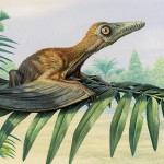 Science Art: <i>Sordes</i> by John Sibbick Science Art: <i>Sordes</i> by John Sibbick