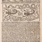 Science Art: From <i>Under den Griechen Berhuempesten Gschichtschreibers sechs Bücher</i>, by Siculus Diodorus, 1554.