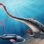Science Art: <i>Cephalaspis</i> by John Dunn Science Art: <i>Cephalaspis</i> by John Dunn