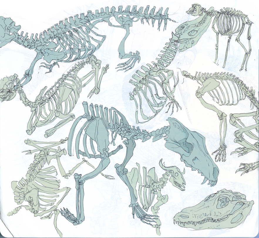 museum drawings from friday, by bells (bequietyellingcat.tumblr.com)
