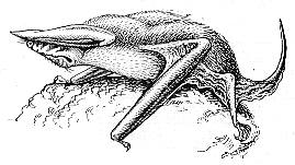 Tadarida teniotis Rafinesque