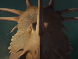 by Julio Lacerda
