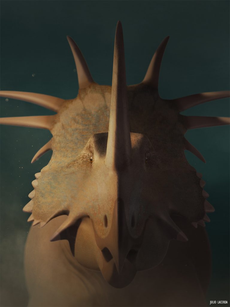 by Julio Lacerda