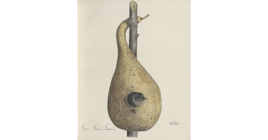 from https://digital.cincinnatilibrary.org/digital/collection/p16998coll59/id/91/rec/3