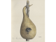 from https://digital.cincinnatilibrary.org/digital/collection/p16998coll59/id/91/rec/3