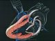 scientific illustration of an echocardiogram.