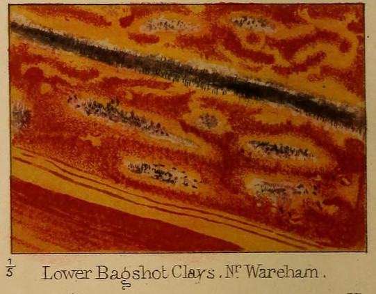 Scientific Illustration of a geological sample, from On the Disposition of Iron in Variegated Strata, an image of iron in clay.