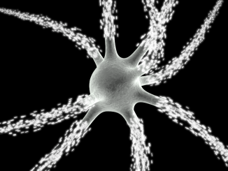 Scientific illustration of a neuron, a brain cell, being electrifying. By Nicolas P. Rougier