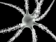Scientific illustration of a neuron, a brain cell, being electrifying. By Nicolas P. Rougier