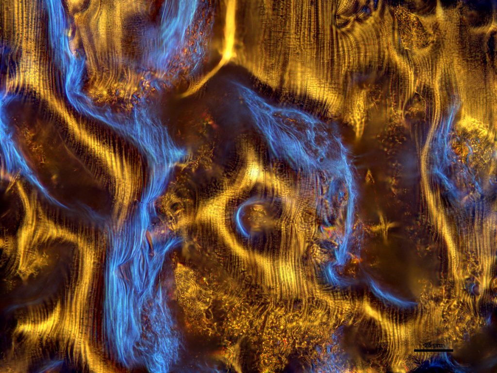 scientific illustration of metal under a microscope