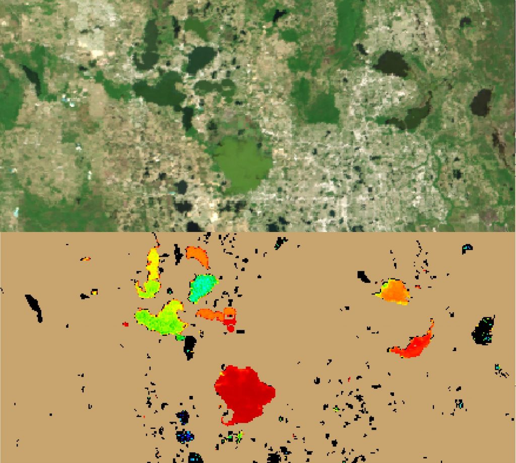 Scientific illustration of Florida lakes, using imagery derived from satellites and aerial photographs