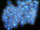 Scientific illustration of yeast reproducinga
