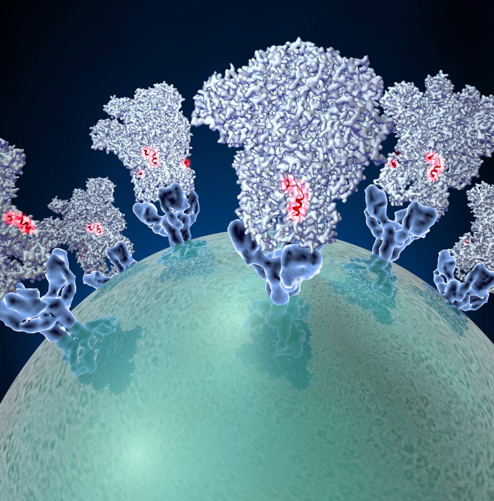 Scientific illustration of a protein spike on a virus