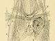 Scientific illustration of the nervous system of a new-born dog.