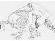 Scientific illustration of a prehistoric armadillo, the giant armored glyptodont.