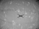 Scientific illustration of the Mars helicopter Ingenuity in flight.