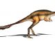Scientific illustration of a birdlike dinosaur named Alvarezsaurus