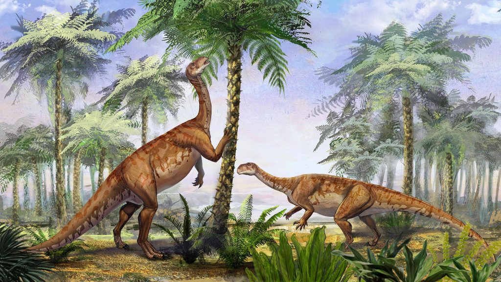 Scientific illustration of irisosaurus, a dinosaur discovered in 2020.