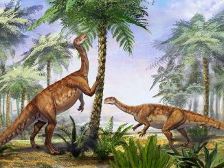 Scientific illustration of irisosaurus, a dinosaur discovered in 2020.