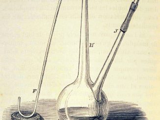 Scientific illustration of a ""Sinuous neck flask employed by M. Pasteur in his experiments against spontaneous generation"; in other words, antique laboratory glassware.