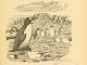Scientific illustration of an auk, as the title page for the American Ornithologists' Union journal The Auk, from the early 20th century