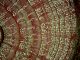 Scientific illustration of plant life under the microscope