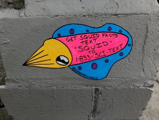 Scientific illustration in the form of street art advertising "Squid Facts: Text 'Squid' to 1-833-SCi-TEXT"
