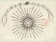 Scientific illustration of a compass rose, a map marking telling us which way we're facing and which direction we should go.