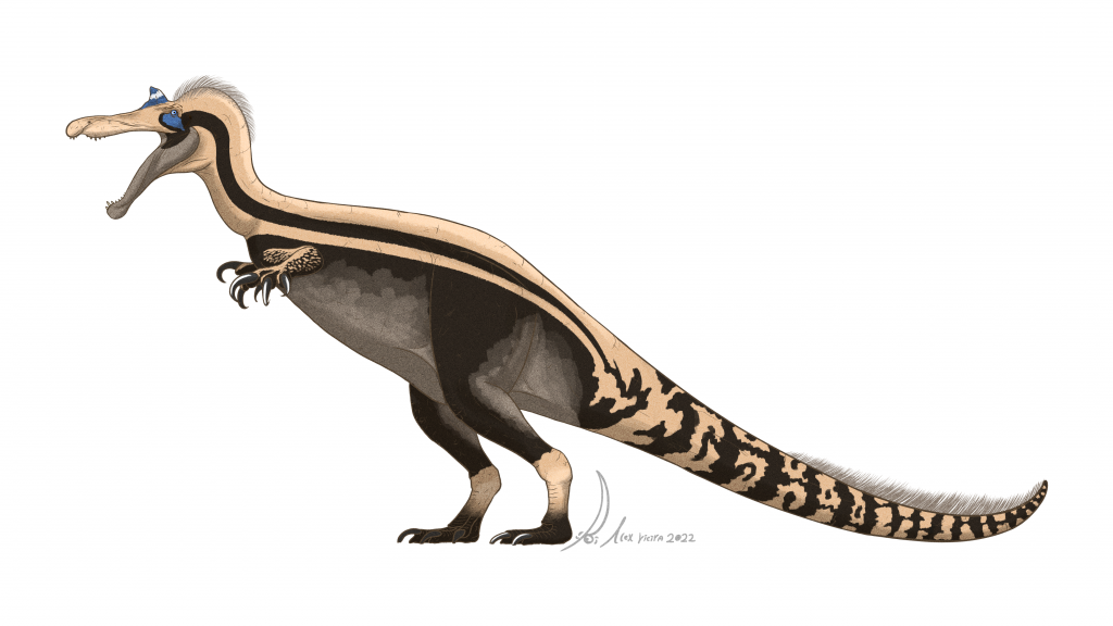Scientific Illustration of a kind of spinosaur known as the "hell heron."