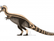 Scientific Illustration of a kind of spinosaur known as the "hell heron."