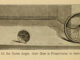 Scientific illustration of perspective, showing the sizes of objects of the same shape at different distances.