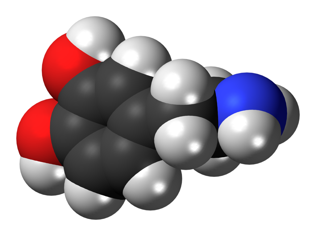 Scientific illustration of the structure of a dopamine molecule in three dimensions.