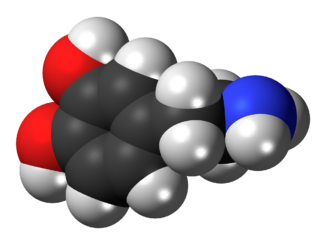 Scientific illustration of the structure of a dopamine molecule in three dimensions.