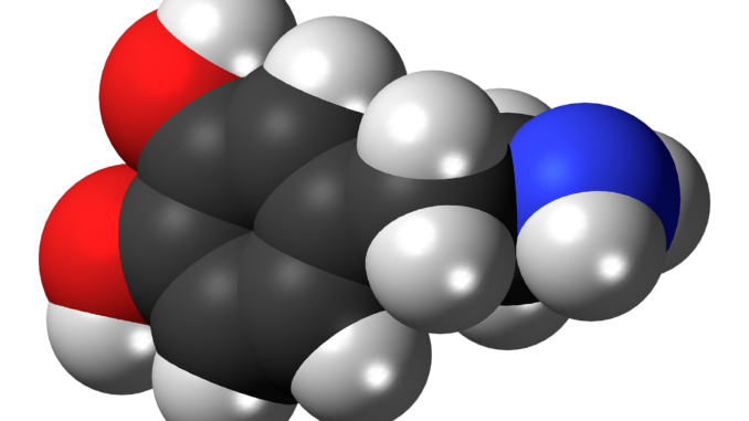 Scientific illustration of the structure of a dopamine molecule in three dimensions.