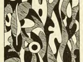 Scientific Illustration depicting how eye-spots draw attention even in a confusing visual field.