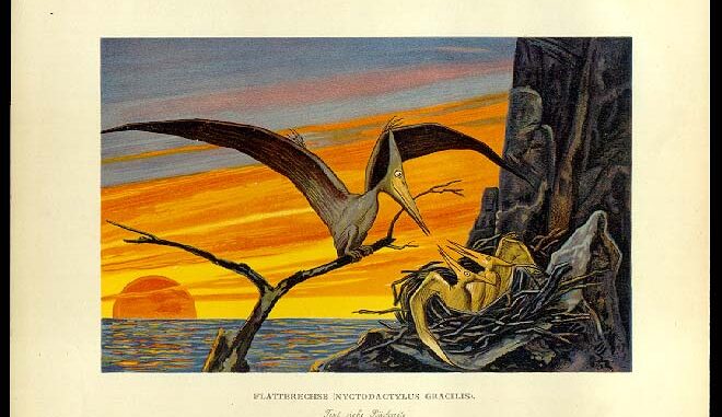 Against a prehistoric sunset over a primordial ocean, a leather-winged flying reptile feeds two or more young in their nest, made in a cranny of a seaside cliff.