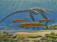 Scientific illustration of two prehistoric sea creatures, a long-necked elasmosaurus called Styxosaurus, and a long-bodied fish called Xiphactinus. Bofh species hover in the water, neutrally buoyant, dappled by sunlight, and looking distinctly predatory, just hanging there, watching.