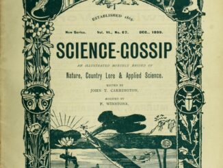 Scientific illustration as branding, with an owl as a decorative element arching its wings over pictures of telescopes, engineering tools, weasels and salamanders, biology, astronomy, botany and ichthyology as a low-flying bird seizes a fish by its head inside the decorative, almost art-nouveau border.