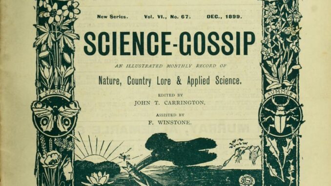 Scientific illustration as branding, with an owl as a decorative element arching its wings over pictures of telescopes, engineering tools, weasels and salamanders, biology, astronomy, botany and ichthyology as a low-flying bird seizes a fish by its head inside the decorative, almost art-nouveau border.