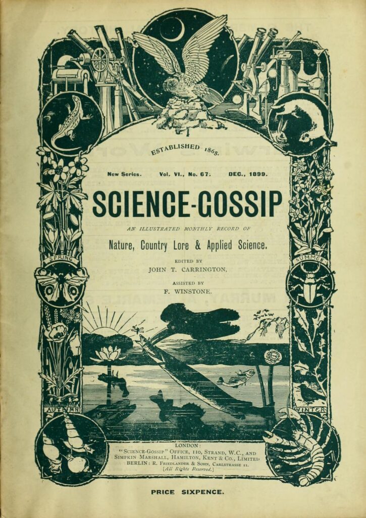 Scientific illustration as branding, with an owl as a decorative element arching its wings over pictures of telescopes, engineering tools, weasels and salamanders, biology, astronomy, botany and ichthyology as a low-flying bird seizes a fish by its head inside the decorative, almost art-nouveau border.