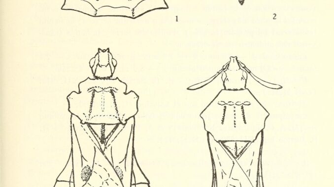 Scientific illustration of four ambush bugs.