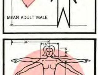Scientific Illustration of human forms using electronic displays, from the 1960s, based on drawings by industrial designer Walter Koch.