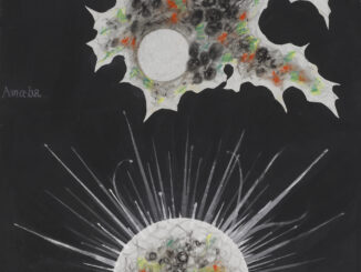 Scientific illustration of microbes done as paper collage in the 1800s. They float like multicolored nebulas and distant worlds with white energetic auras against the black backdrop of deepest space, except they are alive, and microscopic.