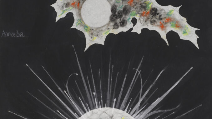 Scientific illustration of microbes done as paper collage in the 1800s. They float like multicolored nebulas and distant worlds with white energetic auras against the black backdrop of deepest space, except they are alive, and microscopic.