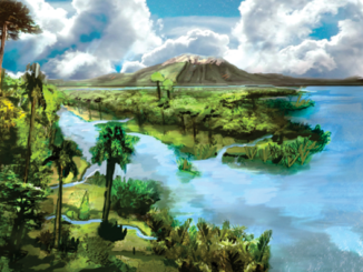 Scientific illustration of a primoridal landscape, particularly ferns, palms, conifers, all vivid green against sparkling blue water and a white-clouded sky.