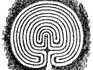 Scientific illusttration in black and white of an ancient Swedish labyrinth, looking a little like a drawing of a brain.
