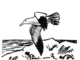 Scientific illustration of a seagull, a simple ink drawing of a bird in flight over a beach.
