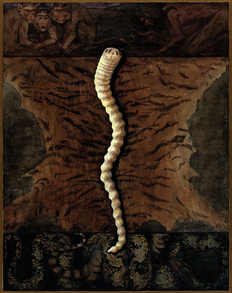 Scientific illustration of a parasitic worm that is carried by tigers and monkeys.